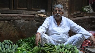 fudholyvaz contents inquiry