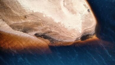 adult dating platform features