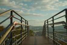 business insights and offerings