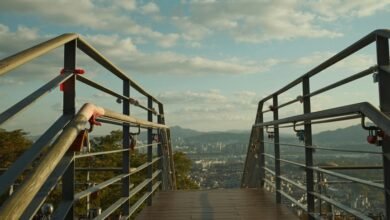 business insights and offerings