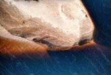 fvnaklas summary and characteristics