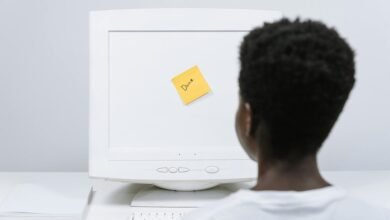 monitoring notes on ip 117 254 87 101