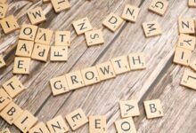 rapid online expansion strategy details