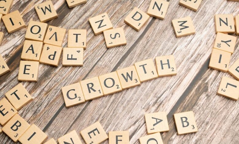 rapid online expansion strategy details