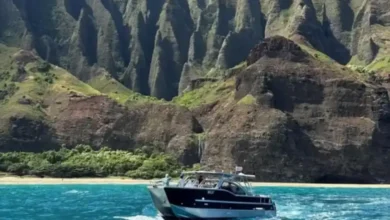 Unique Water Activities That Elevate Your Vacation — 5 with Makana Charters Kauai